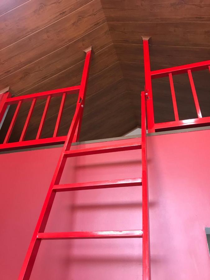 Hospedaje Alto Lechuza Zarcero Dış mekan fotoğraf